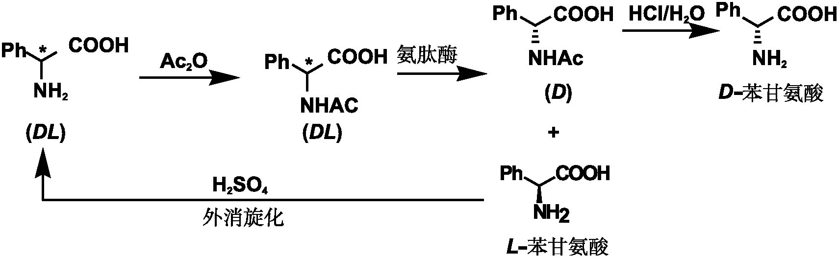 生物拆分法